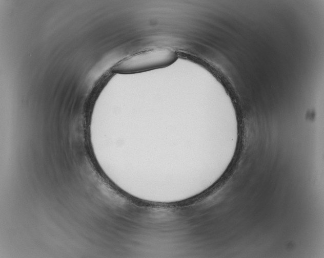 X0000111501114200908251043