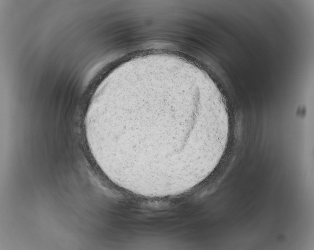 X0000111501117200908251043