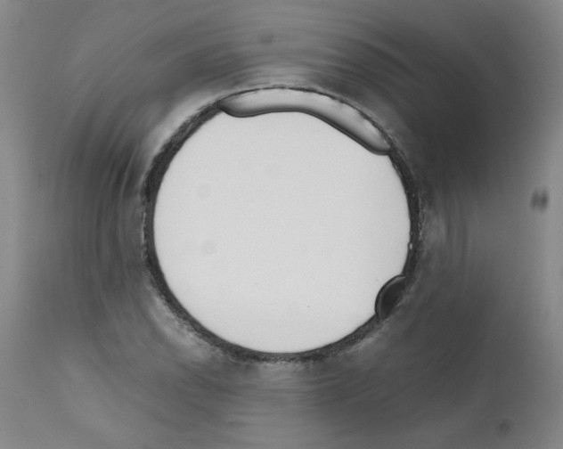 X0000111501118200908251043