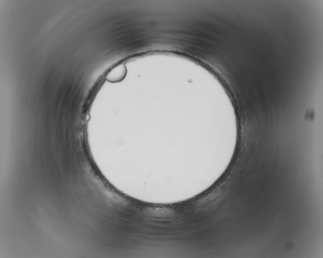 X0000111501119200908251043