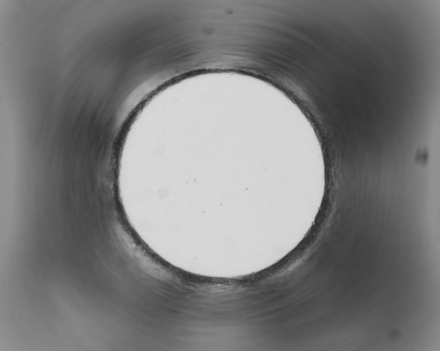 X0000111501122200908251043