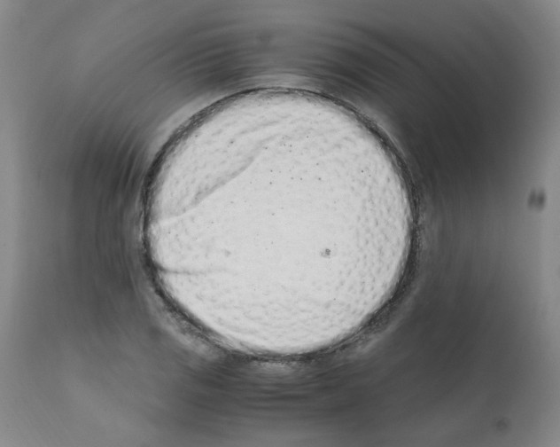 X0000111501125200908251043