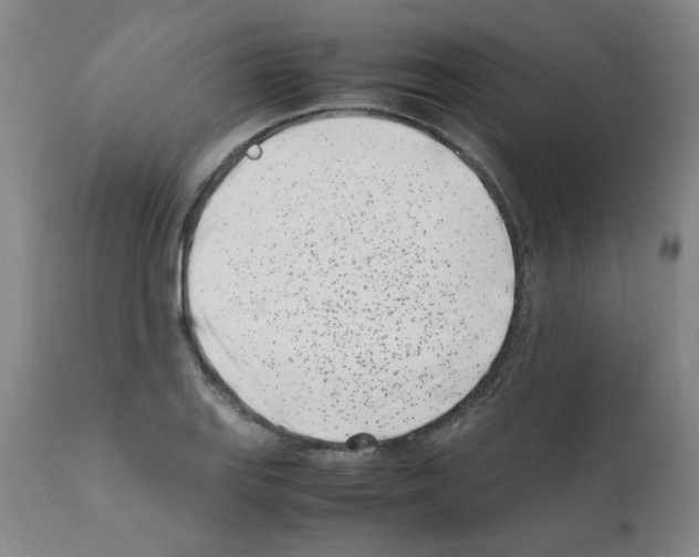 X0000111501127200908251043