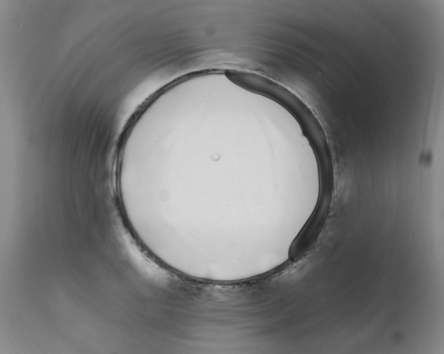 X0000111501128200908251043