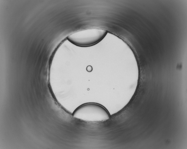 X0000111501132200908251043