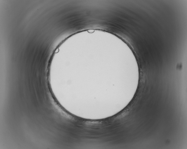 X0000111501135200908251043