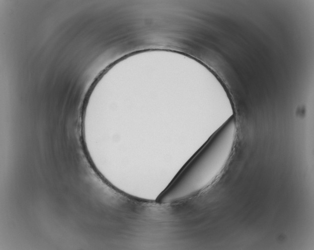 X0000111501136200908251043