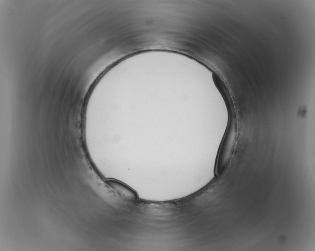 X0000111501138200908251043