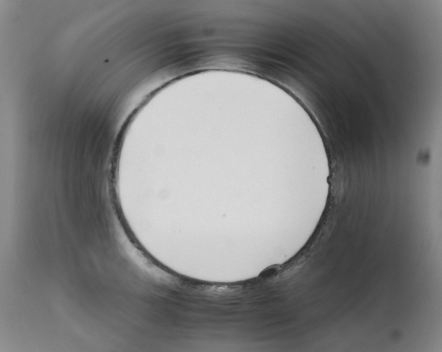 X0000111501139200908251043