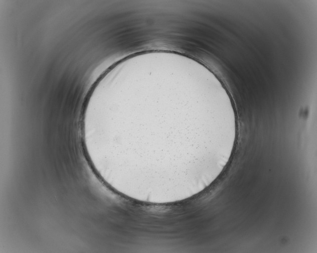 X0000111501141200908251043