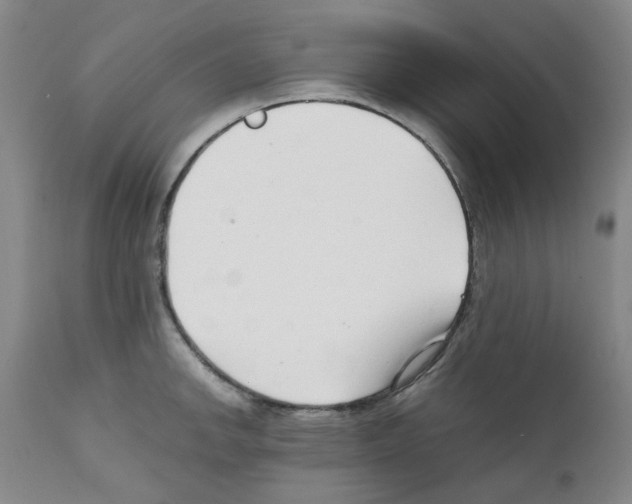 X0000111501142200908251043