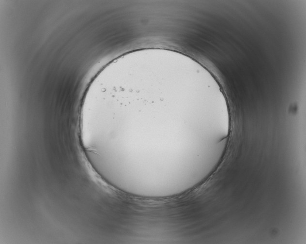 X0000111501144200908251043