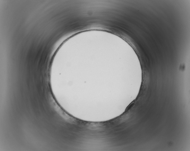 X0000111501148200908251043