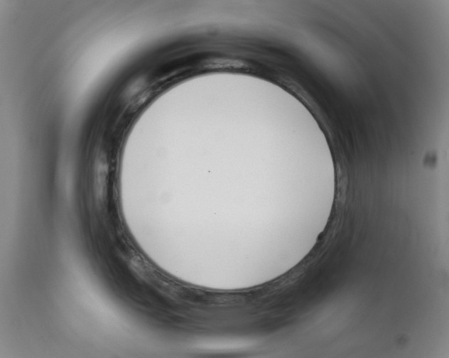 X0000111501151200908251044