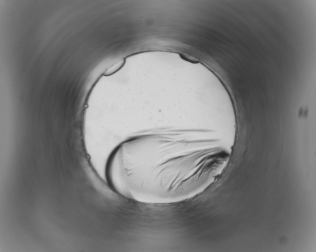 X0000111501152200908251044