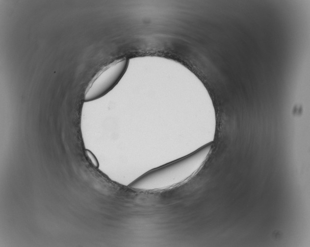 X0000111501153200908251043