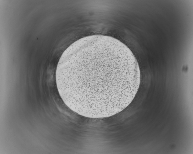 X0000111501154200908251043