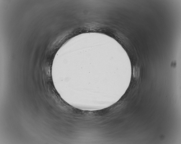 X0000111501155200908251043