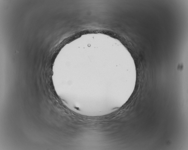 X0000111501157200908251043