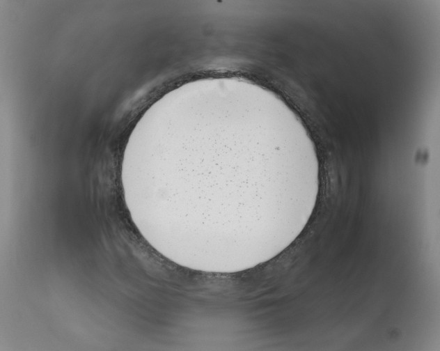 X0000111501158200908251043