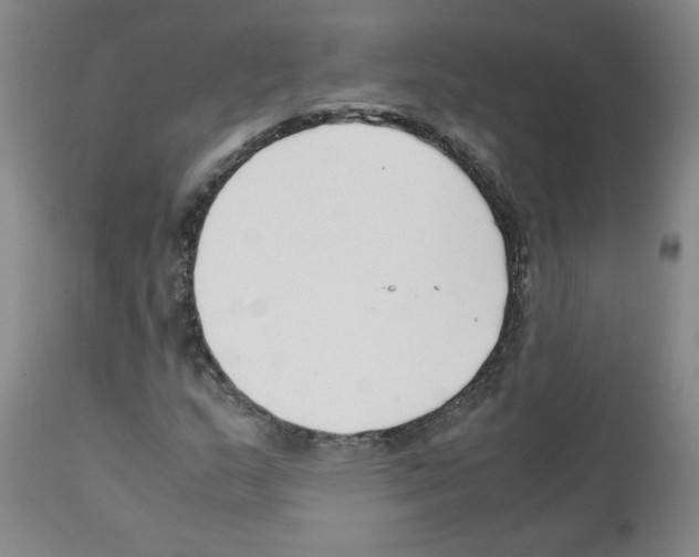 X0000111501159200908251043