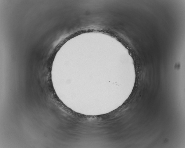 X0000111501160200908251043