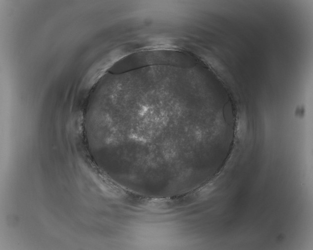 X0000111501161200908251043