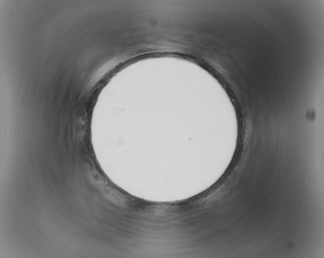 X0000111501163200908251043