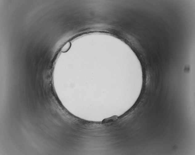 X0000111501164200908251043