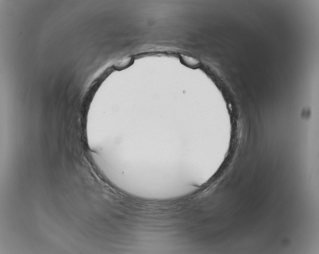 X0000111501165200908251043