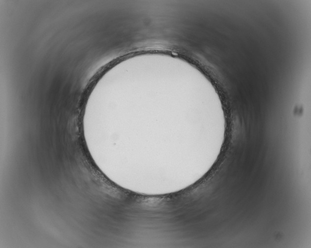 X0000111501166200908251043