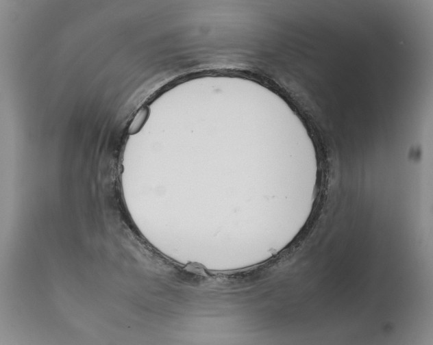 X0000111501169200908251043