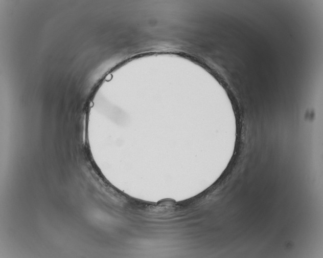 X0000111501171200908251043