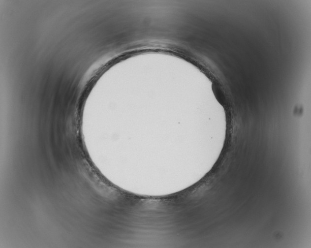 X0000111501172200908251043