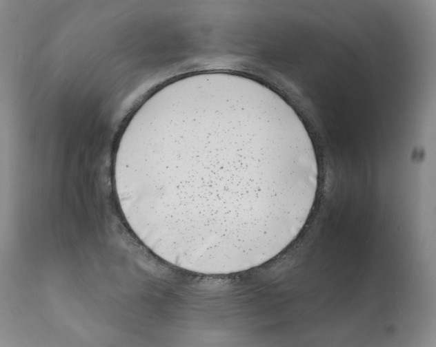 X0000111501174200908251043