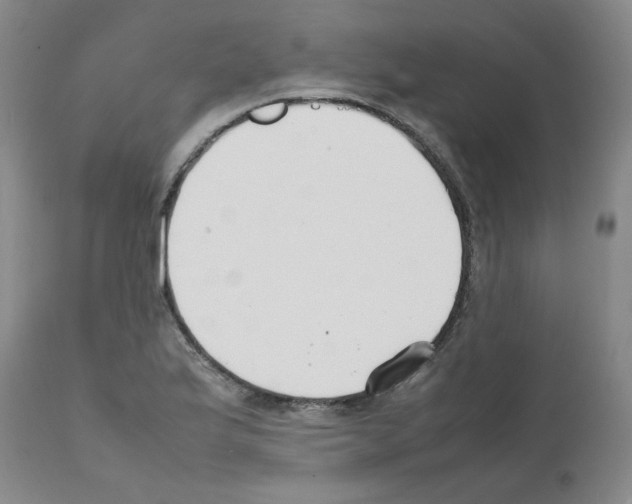 X0000111501175200908251043