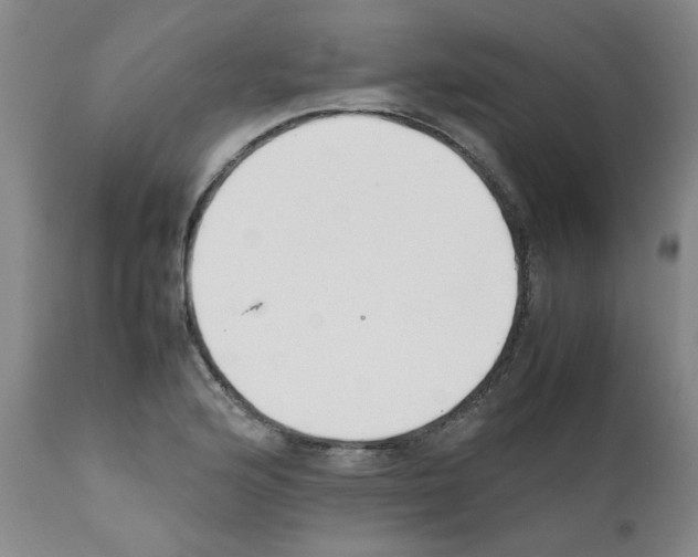 X0000111501176200908251043