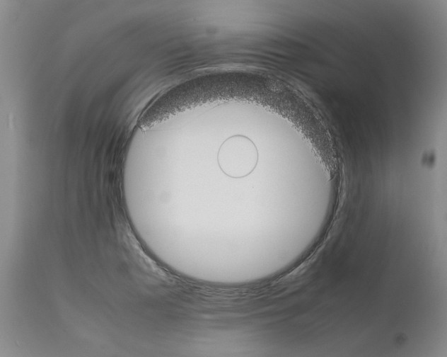 X0000111501177200908251043