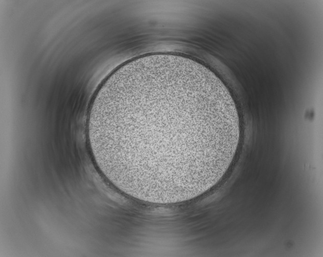 X0000111501178200908251042