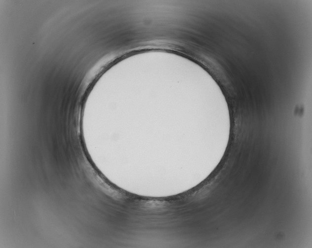 X0000111501180200908251042