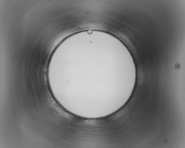 X0000111501182200908251042