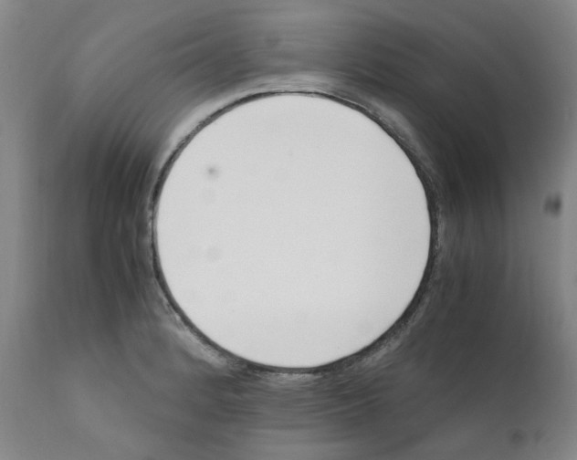 X0000111501184200908251042