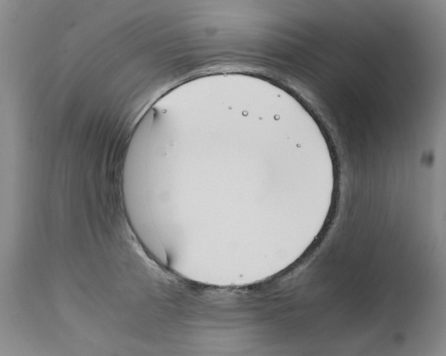 X0000111501185200908251042