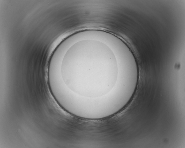 X0000111501188200908251042