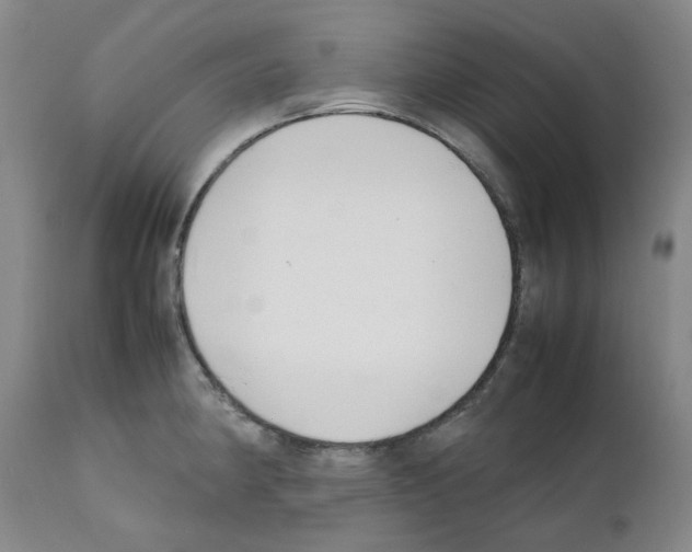 X0000111501190200908251042