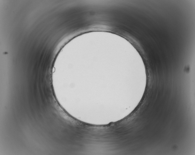 X0000111501192200908251042