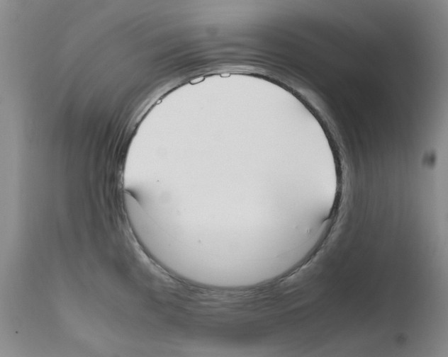 X0000111501193200908251042