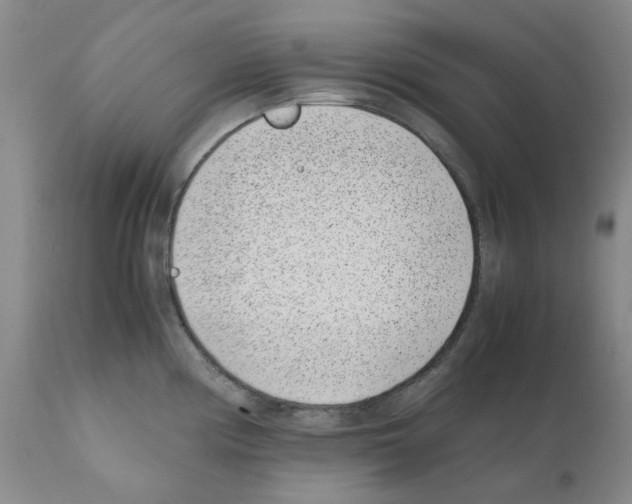 X0000111501194200908251042