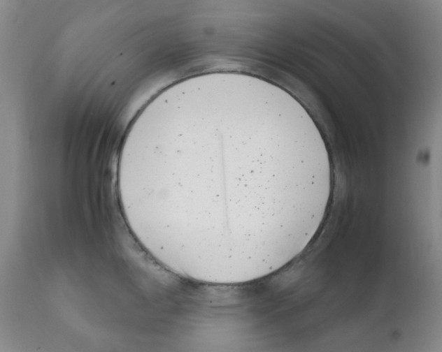 X0000111501198200908251042