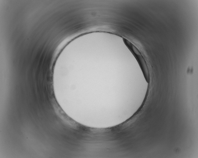 X0000111501200200908251042